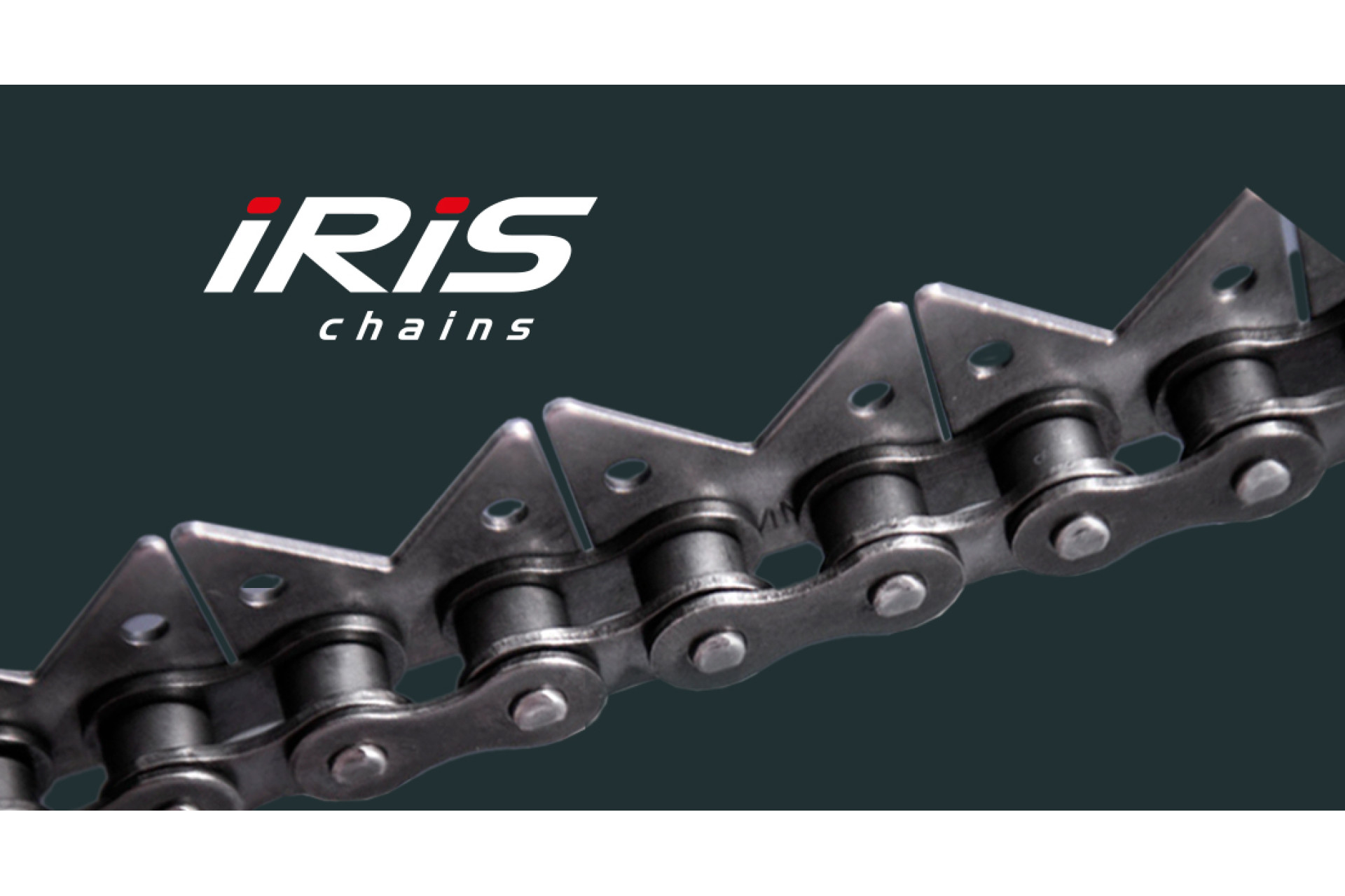 Приводні та спеціальні ланцюги заводу IRIS CHAINS