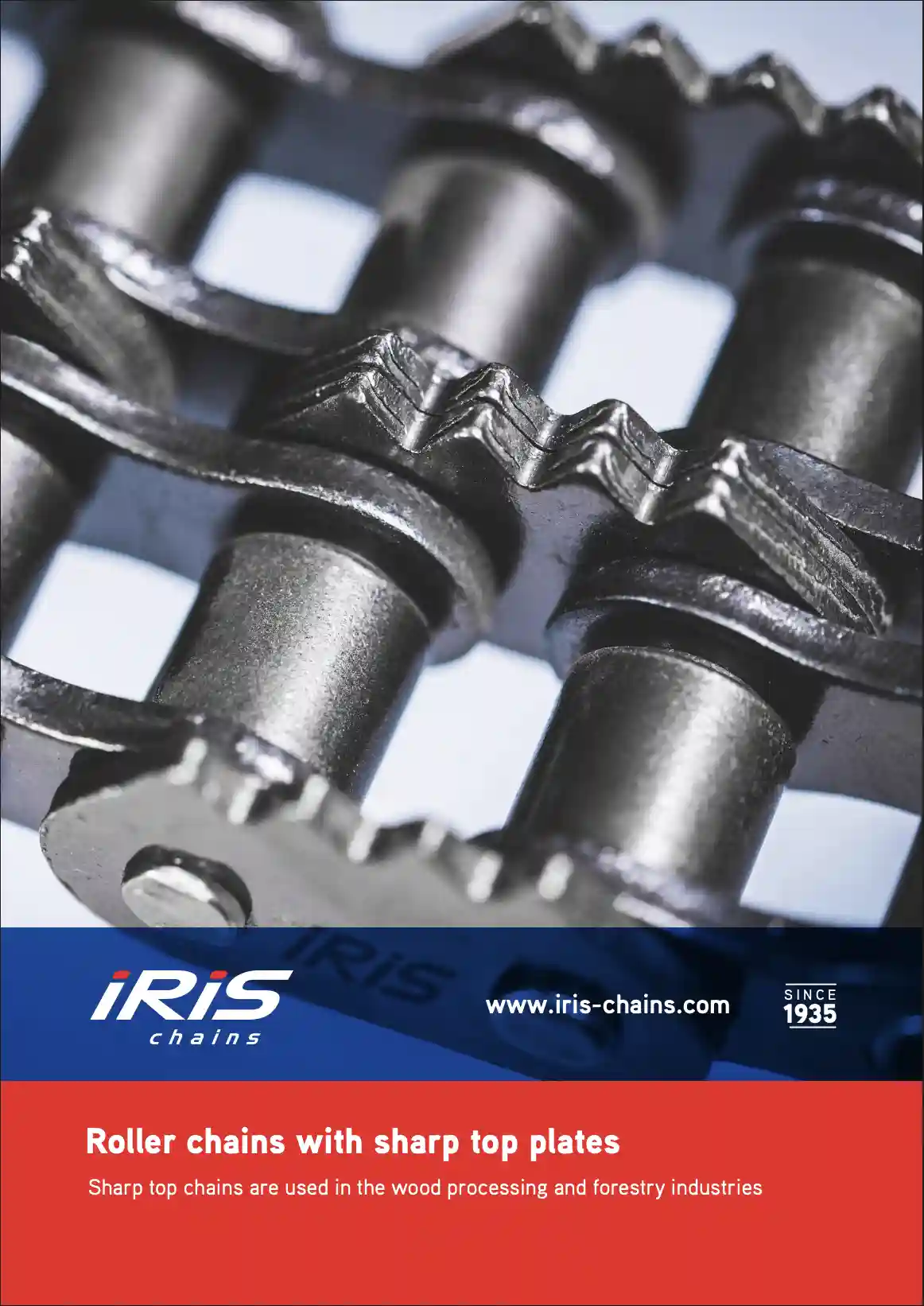 Каталог ланцюгів із зубчастими пластинами IRIS